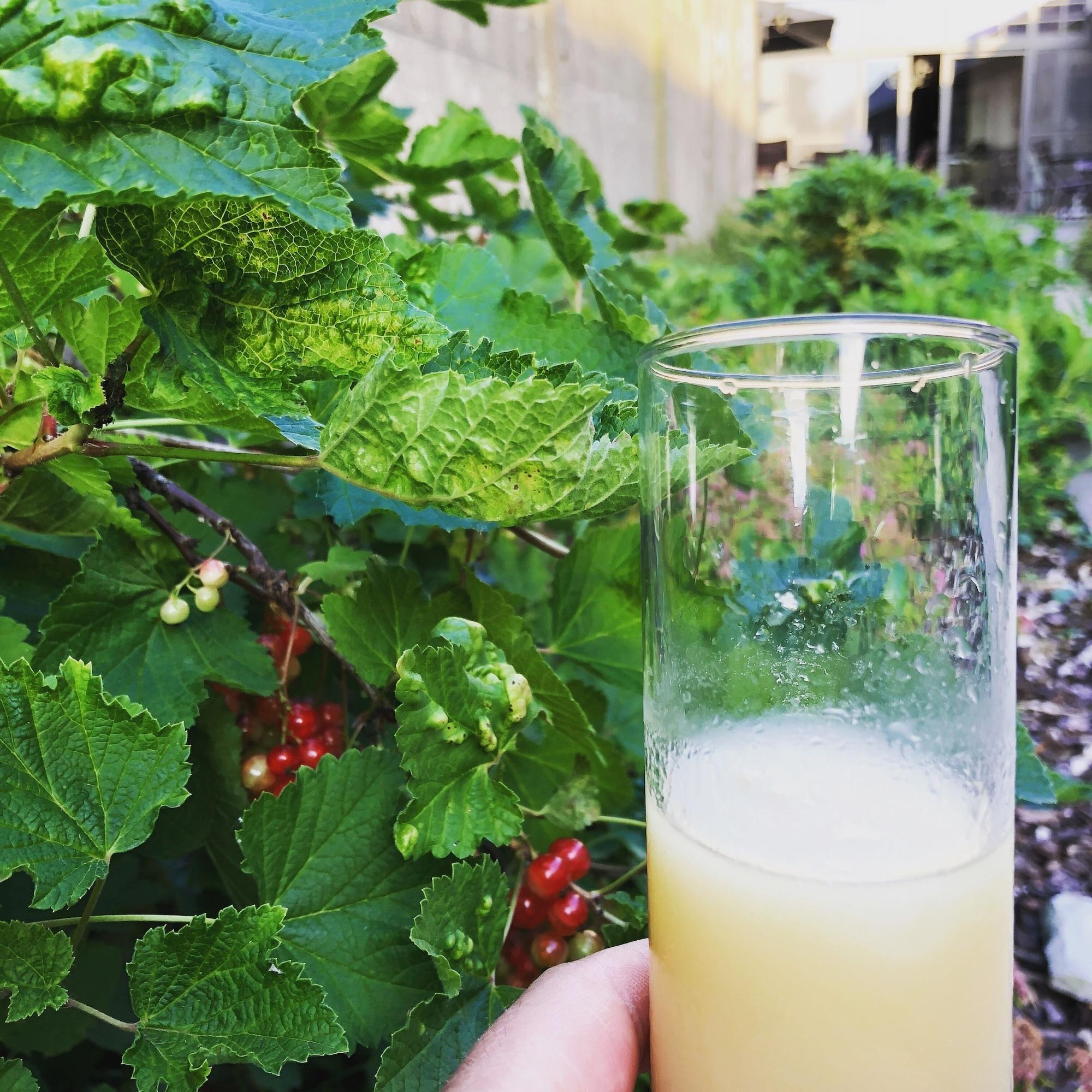 Bar/Salón 't Oud gemeentehuis Poelkapelle