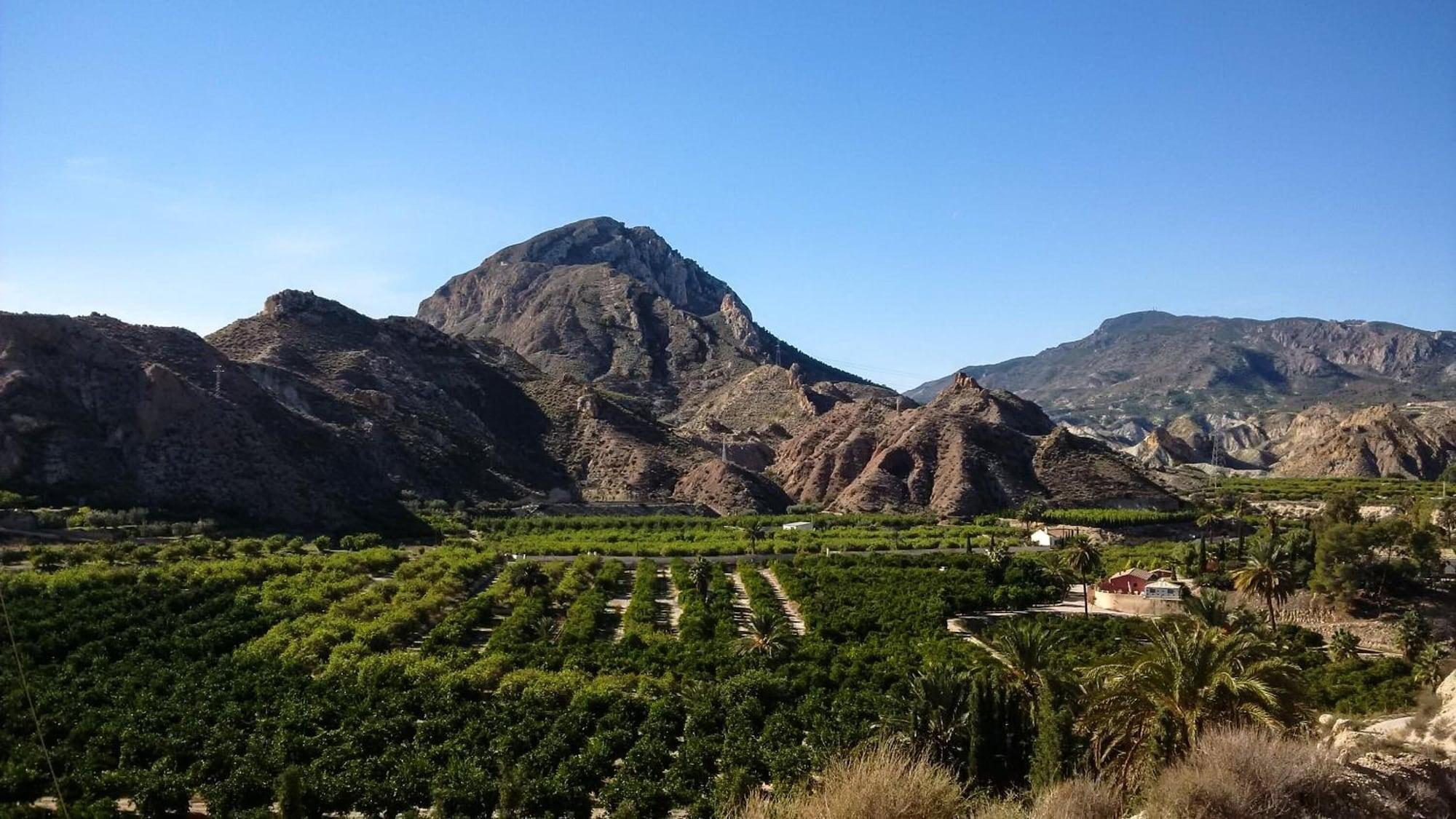 Vista Exterior La Joya del Valle de Ricote