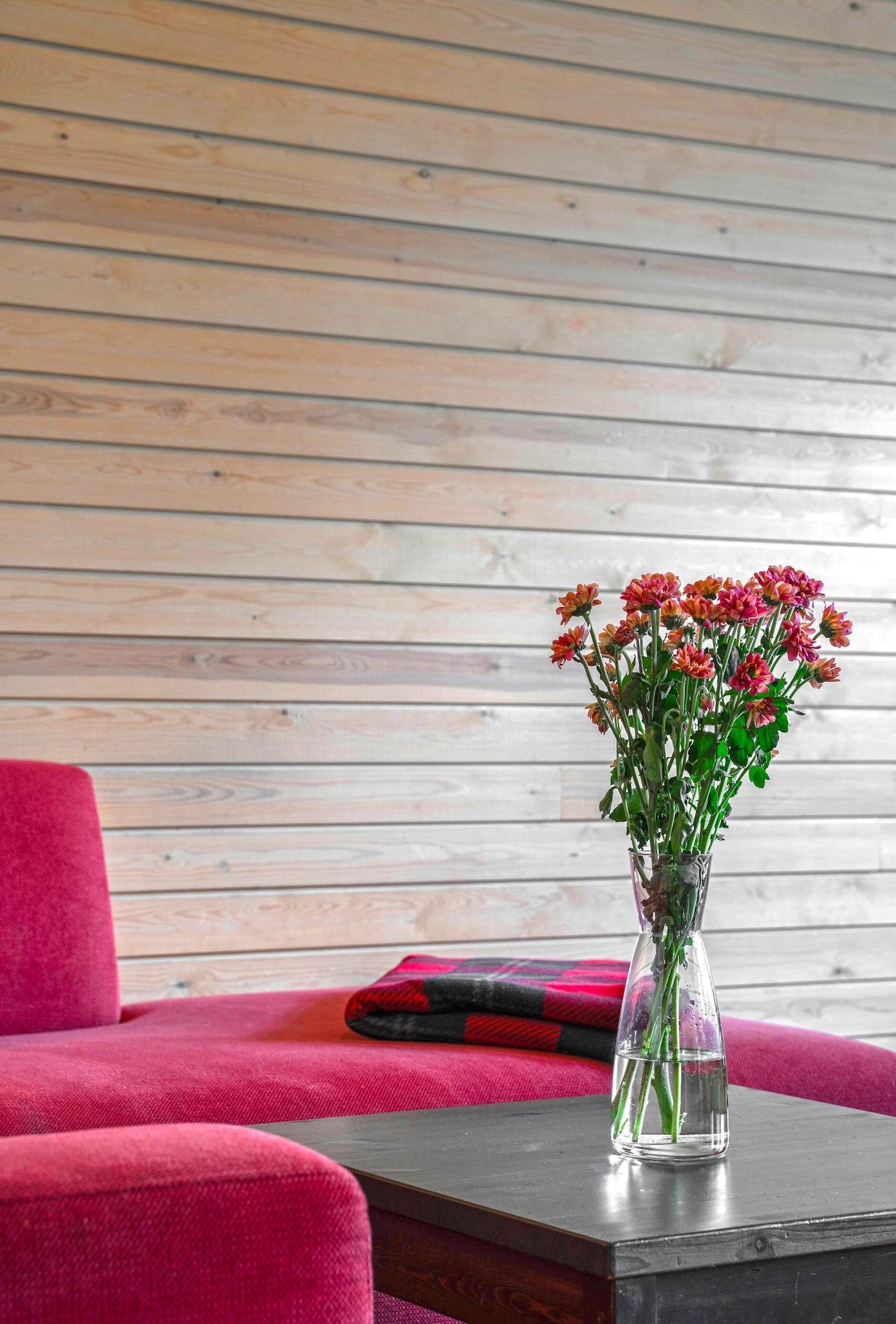 Comodidades del Alojamiento Ski-Inn MastonAitio