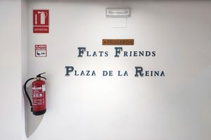 Alojamiento - Flats Friends Plaza de la Reina