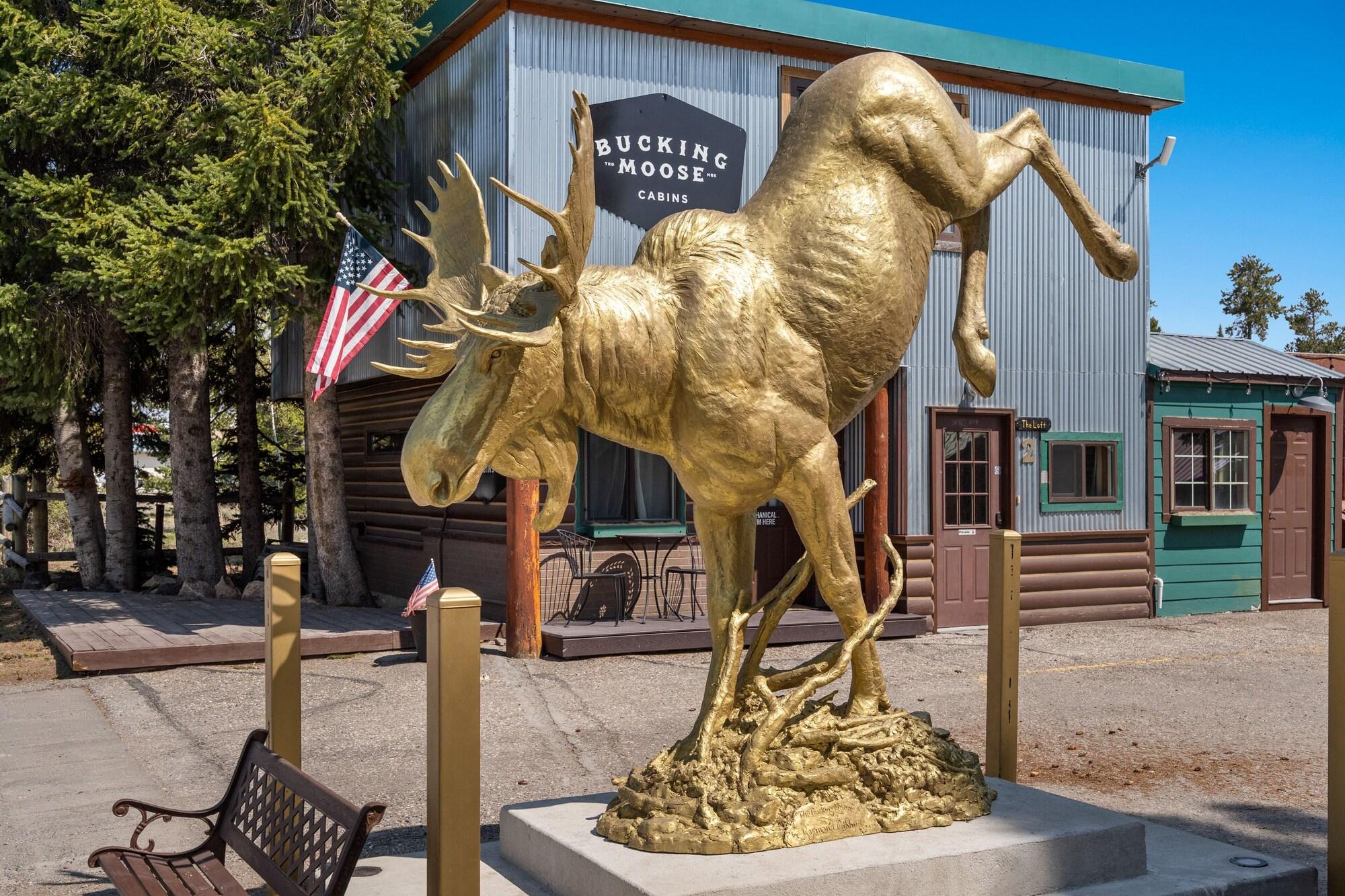 Varios The Bucking Moose