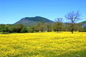 Alojamiento - Masseria Santa Lucia