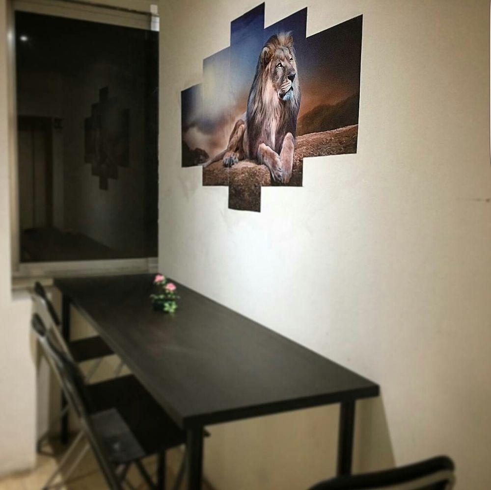 Comodidades del Alojamiento Lion Hostel