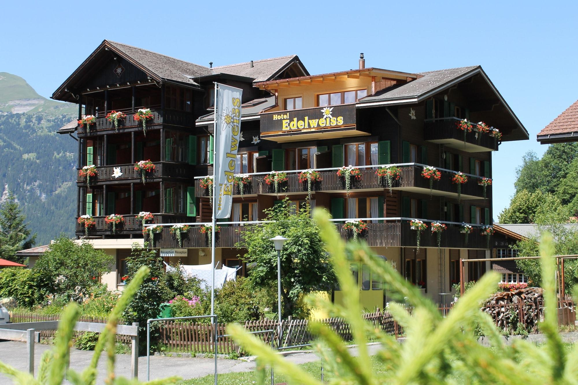 Varios Hotel Edelweiss Wengen