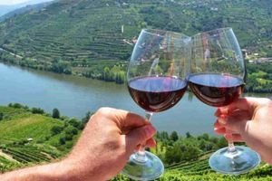 Actividad - Tour por Valle del Duero con cata de vinos incluida