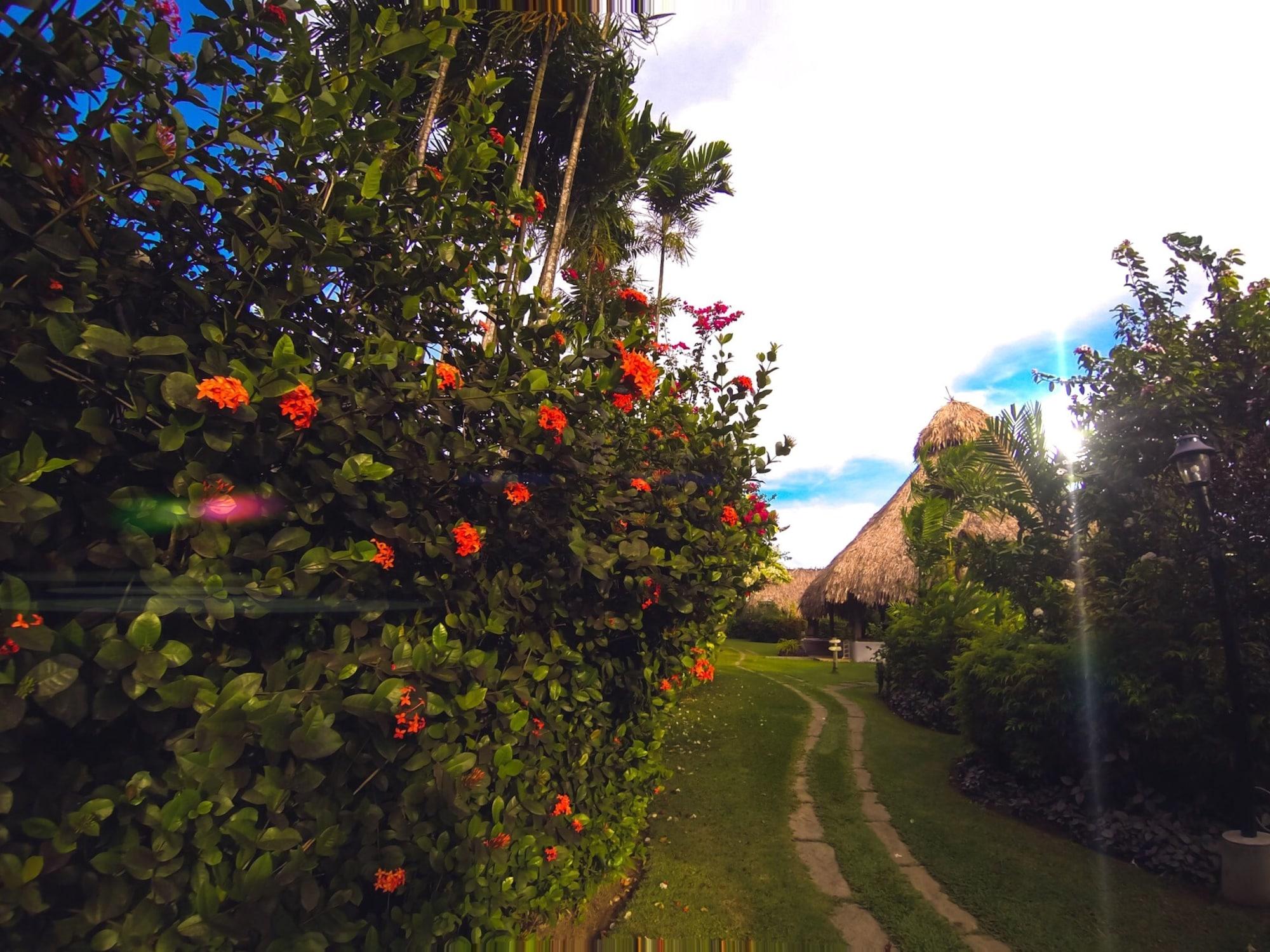 Vista Exterior Kariwak Village Holistic Haven and Hotel
