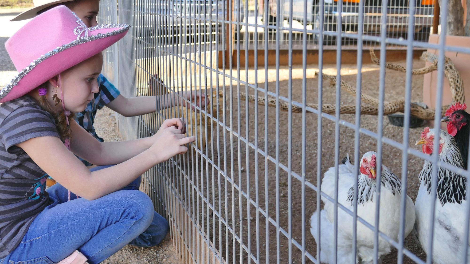 Gimnasio White Stallion Ranch