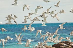 Actividad - Paseo en barco y actividades acuáticas
