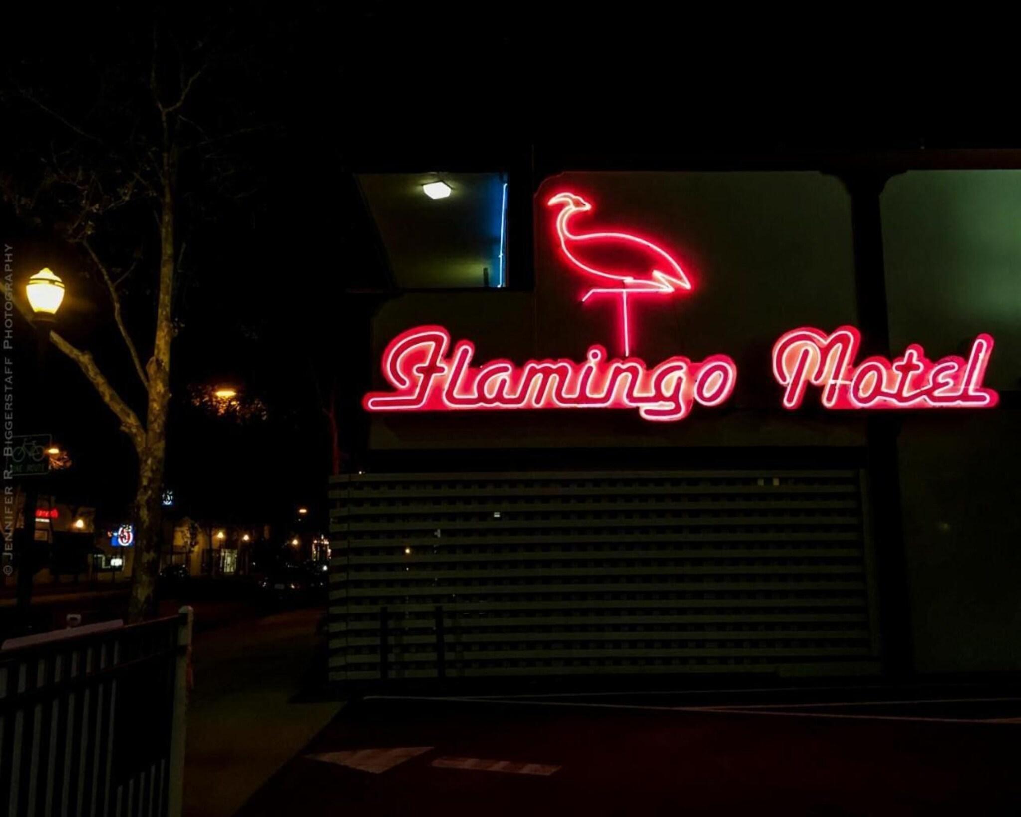 Vista Exterior The Flamingo Motel