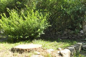 Alquiler Temporario - Agua de Oro Housing