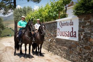 Alojamiento - Quinta da Pousada