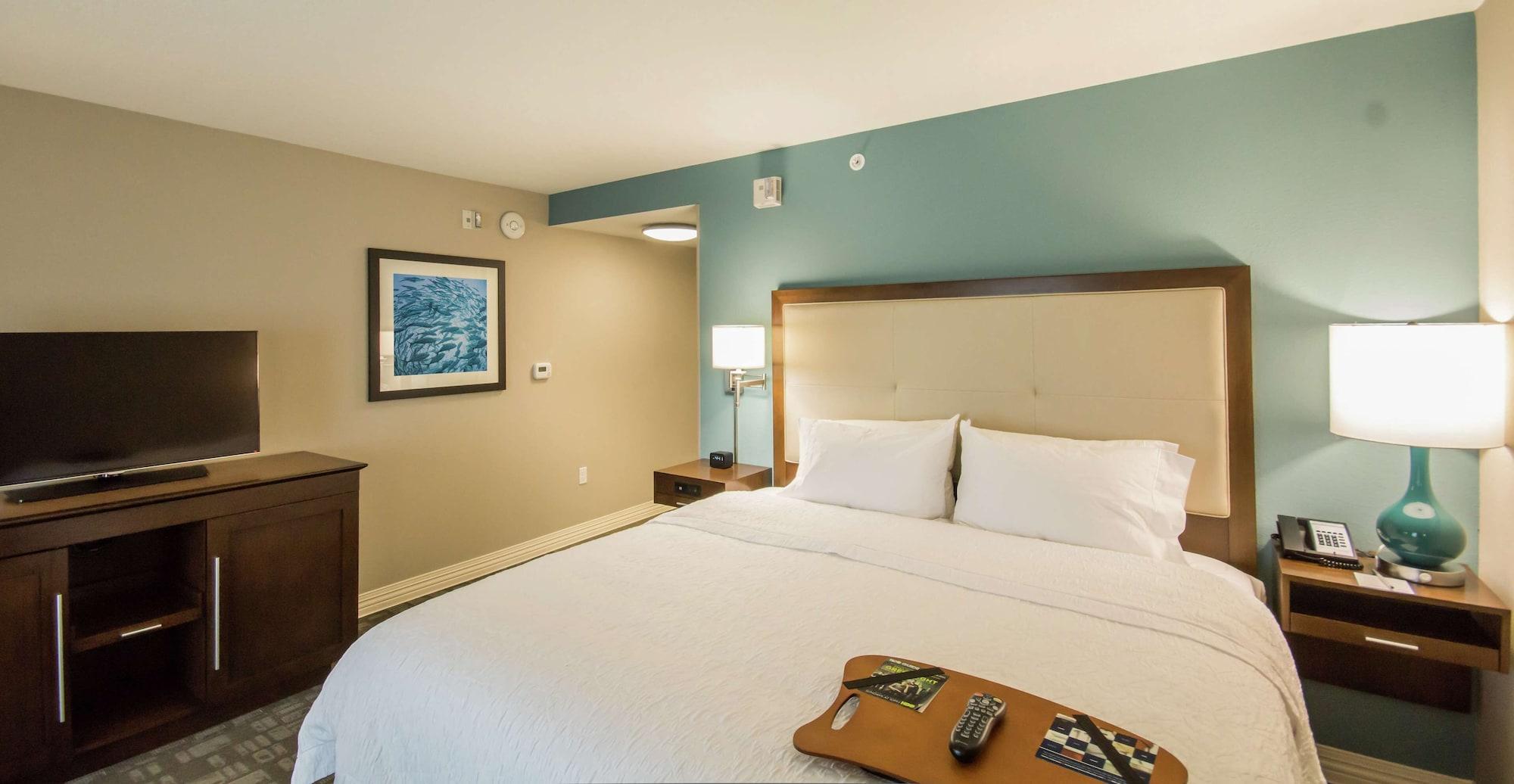 Habitación Hampton Inn & Suites Orlando At SeaWorld