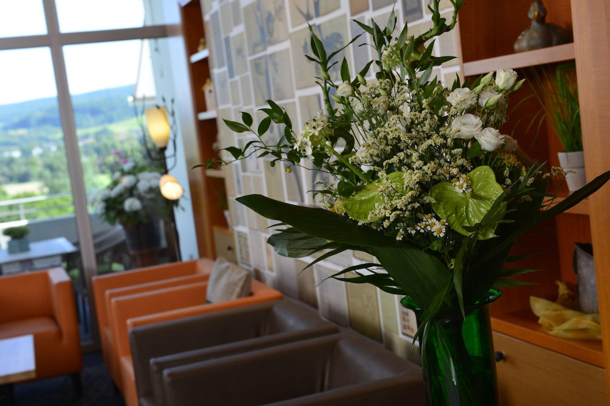 Vista Lobby Trip Inn Landhotel Bad Soden-Salmünster
