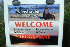 Alojamiento - Catlins Newhaven Holiday Park