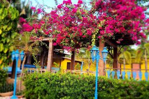 Alojamiento - CASA IMPERIAL HOTEL POUSADA