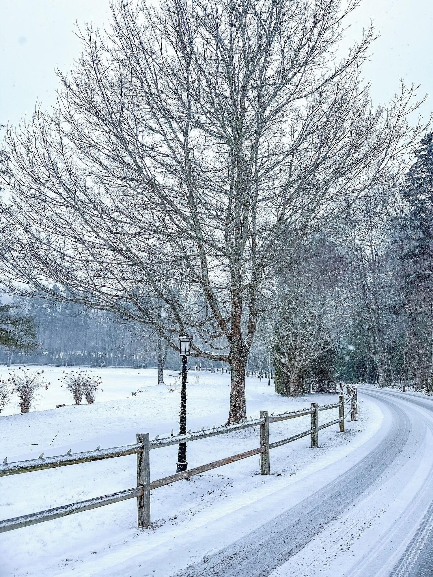 Vista Exterior Chetola Premier Condominiums