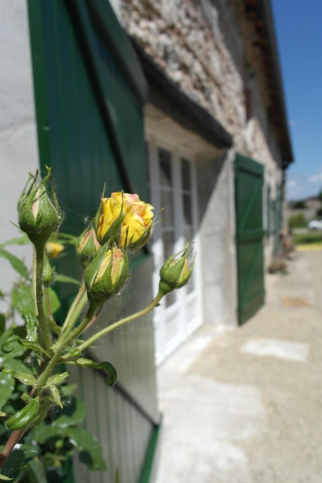 Vista Exterior Les chambres de Filou