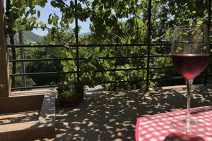 Alquiler Vacacional - Tranquillity & comfort - spacious studio & terrace, relax under the vine canopy.