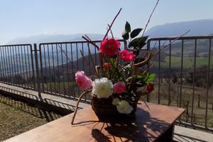 Alquiler Vacacional - CA'LAMBRUSCO App. CRI (4 + 2 PEOPLE)