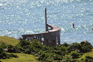 Alojamiento - Parque Tepuhueico Zona Costa