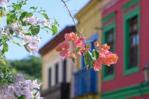 Actividad - Atardecer en Olinda