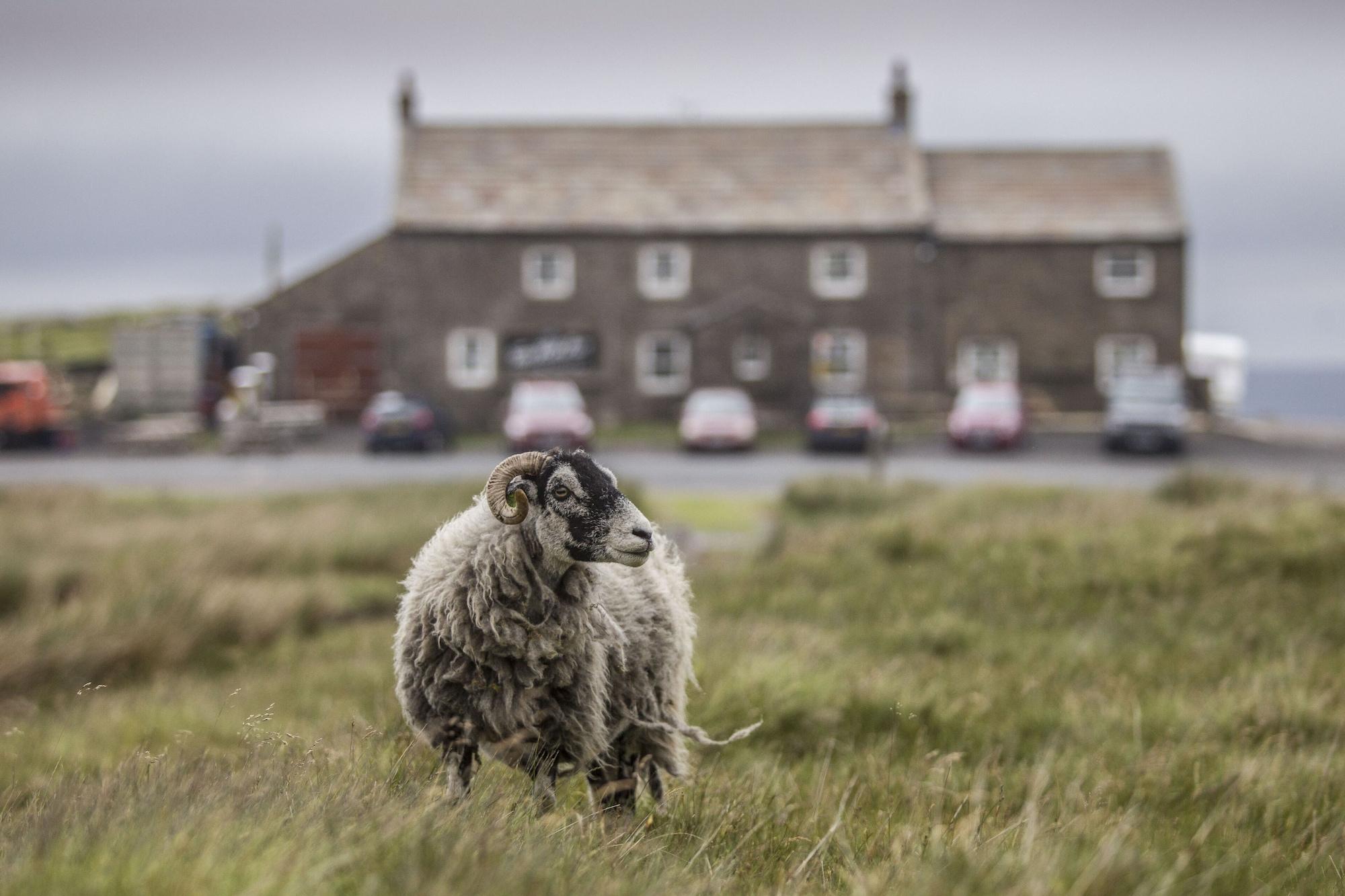 Vista Exterior The World Famous Tan Hill Inn