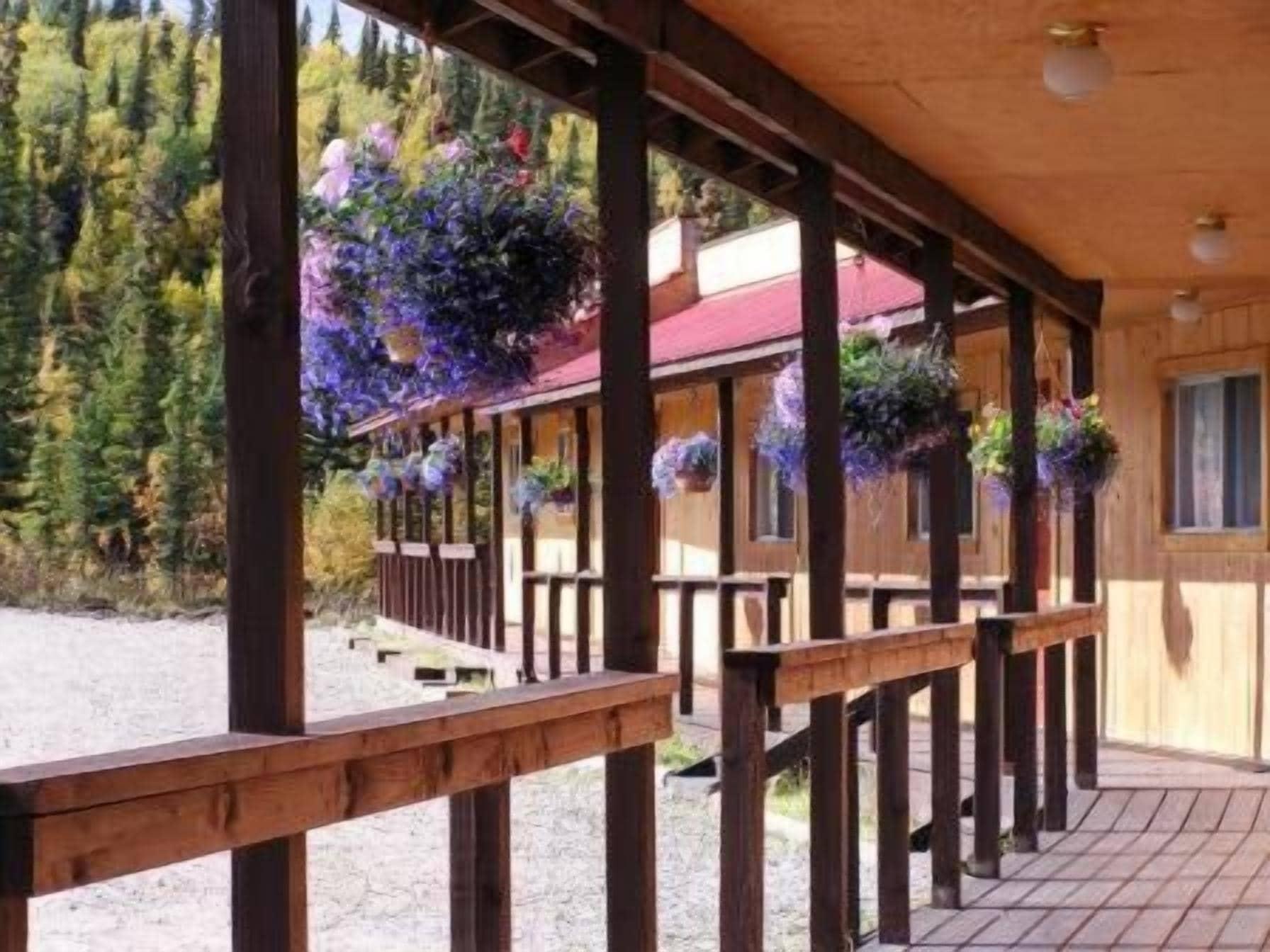 Comodidades del Alojamiento White Moose Lodge