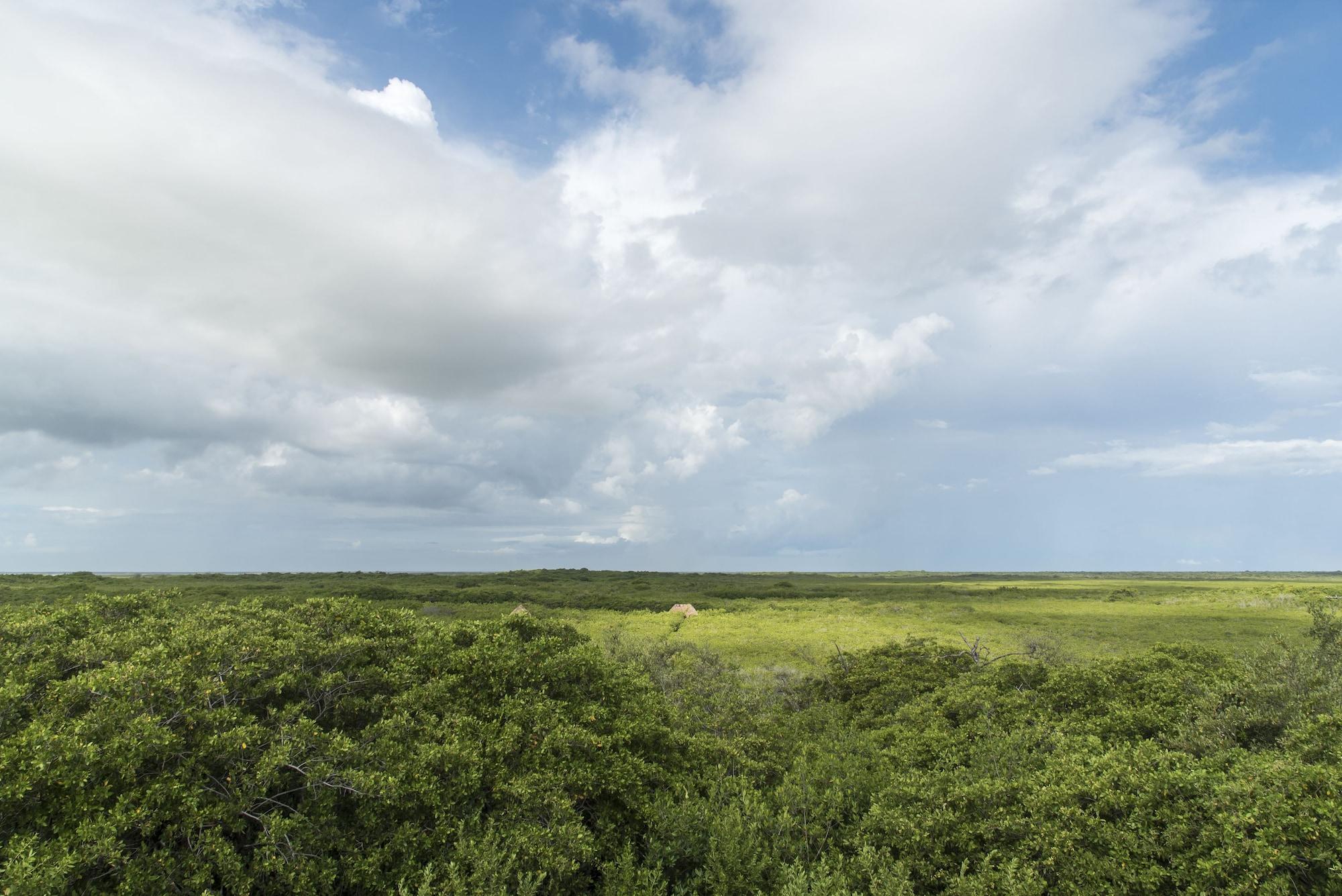 Vista Exterior Cormoran Boutique Hotel & Cenote Tulum