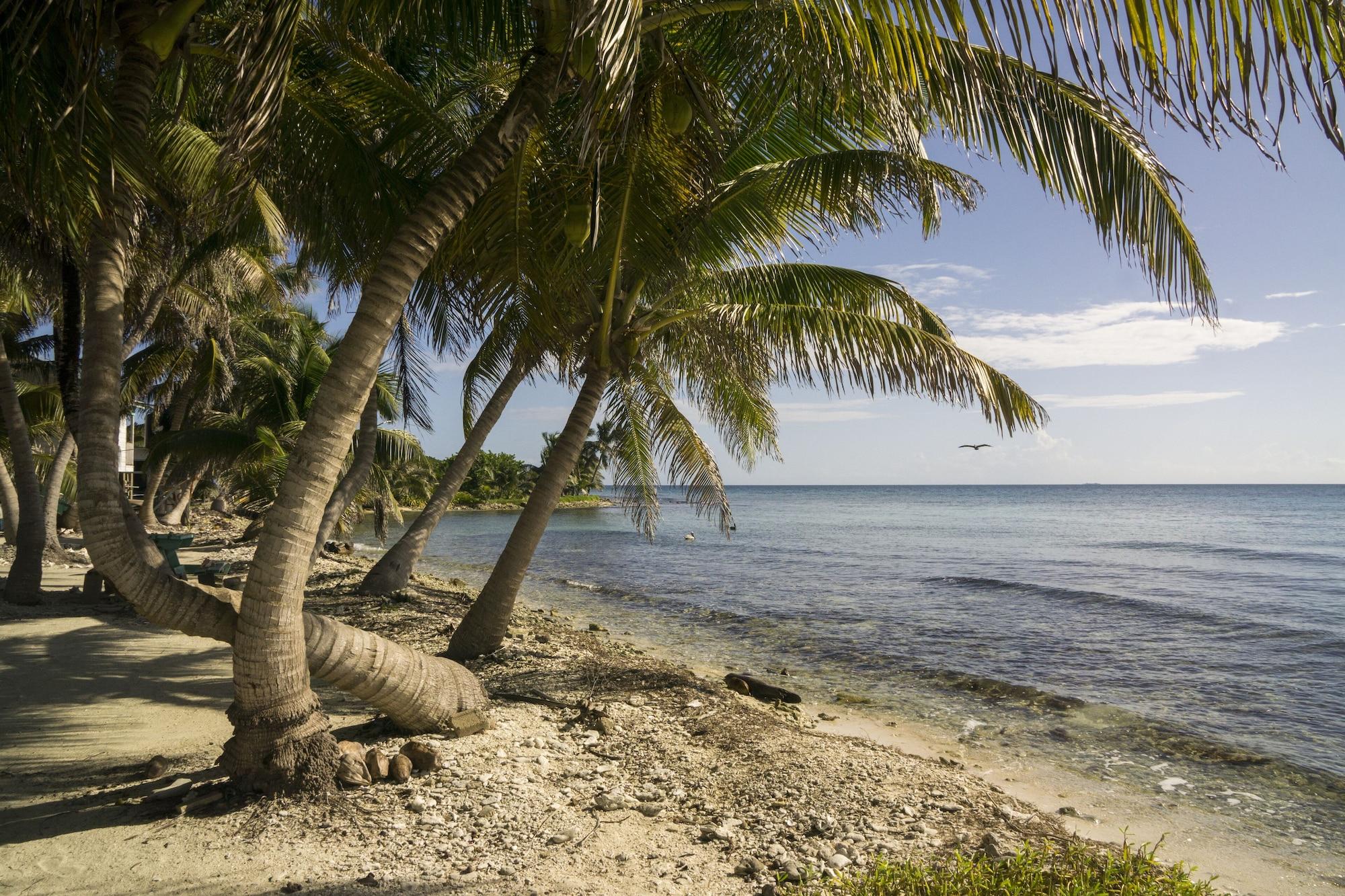 Gimnasio Chabil Mar Luxury Villas - Guest Exclusive Beach Resort