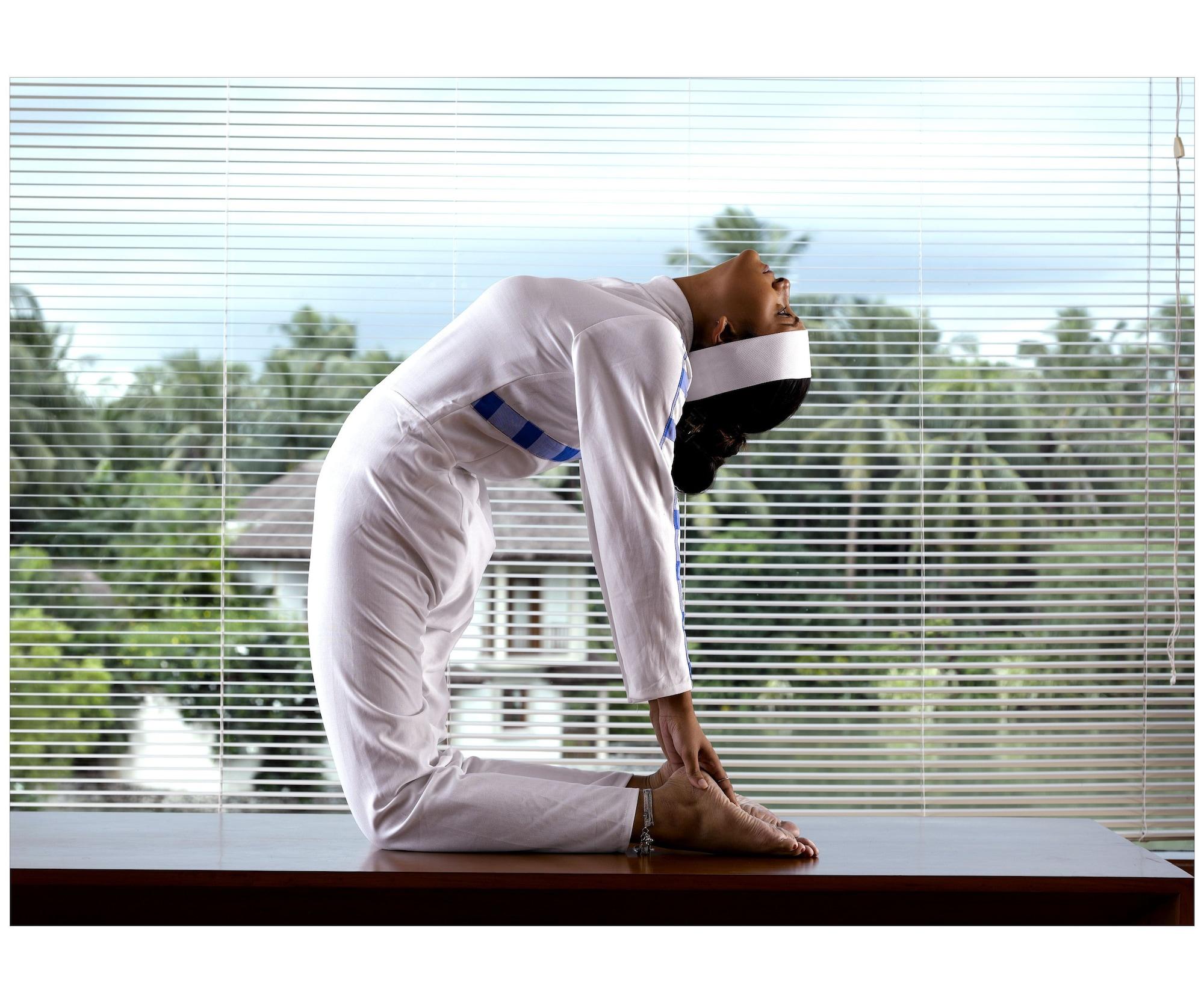 Gimnasio Vedic Village Spa Resort