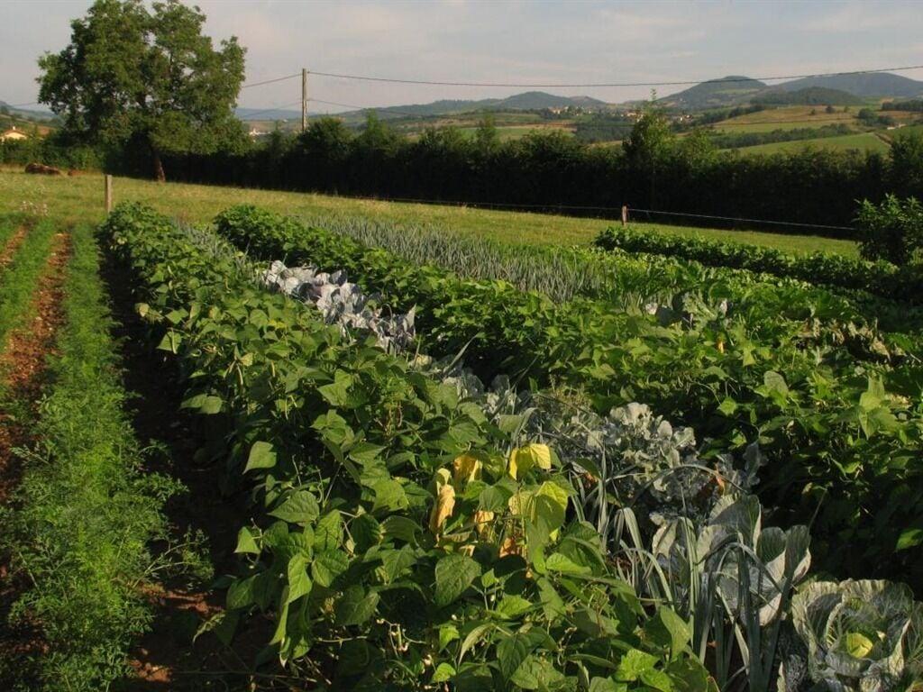 Varios La Ferme Du Chapi