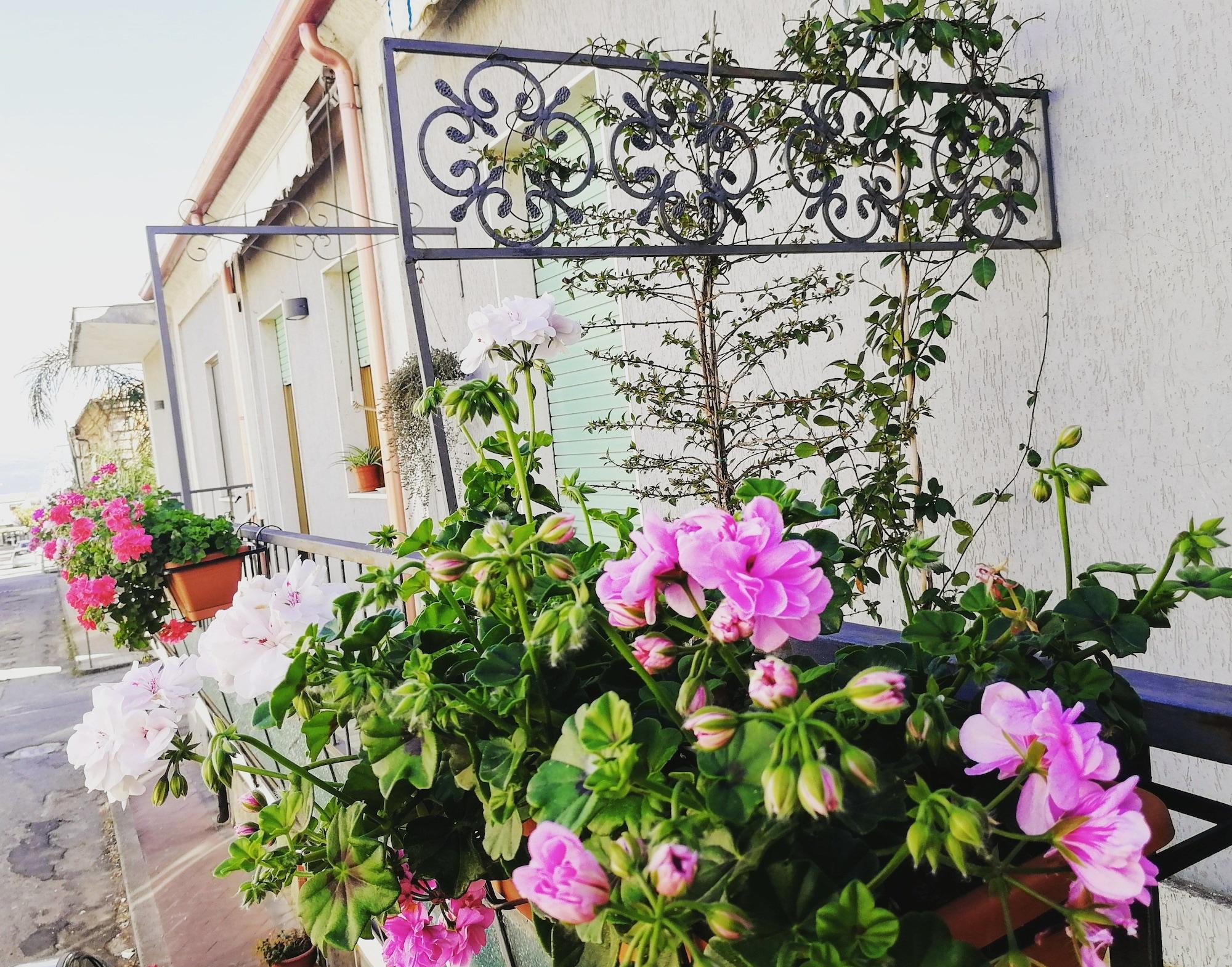 Comodidades del Alojamiento B&B Donna Melina