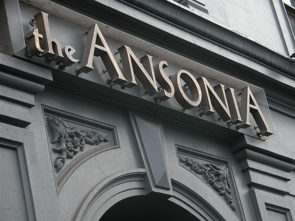 Ansonia on Lydiard by null