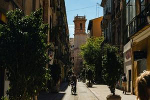 Actividad - Tour privado por el centro de Valencia