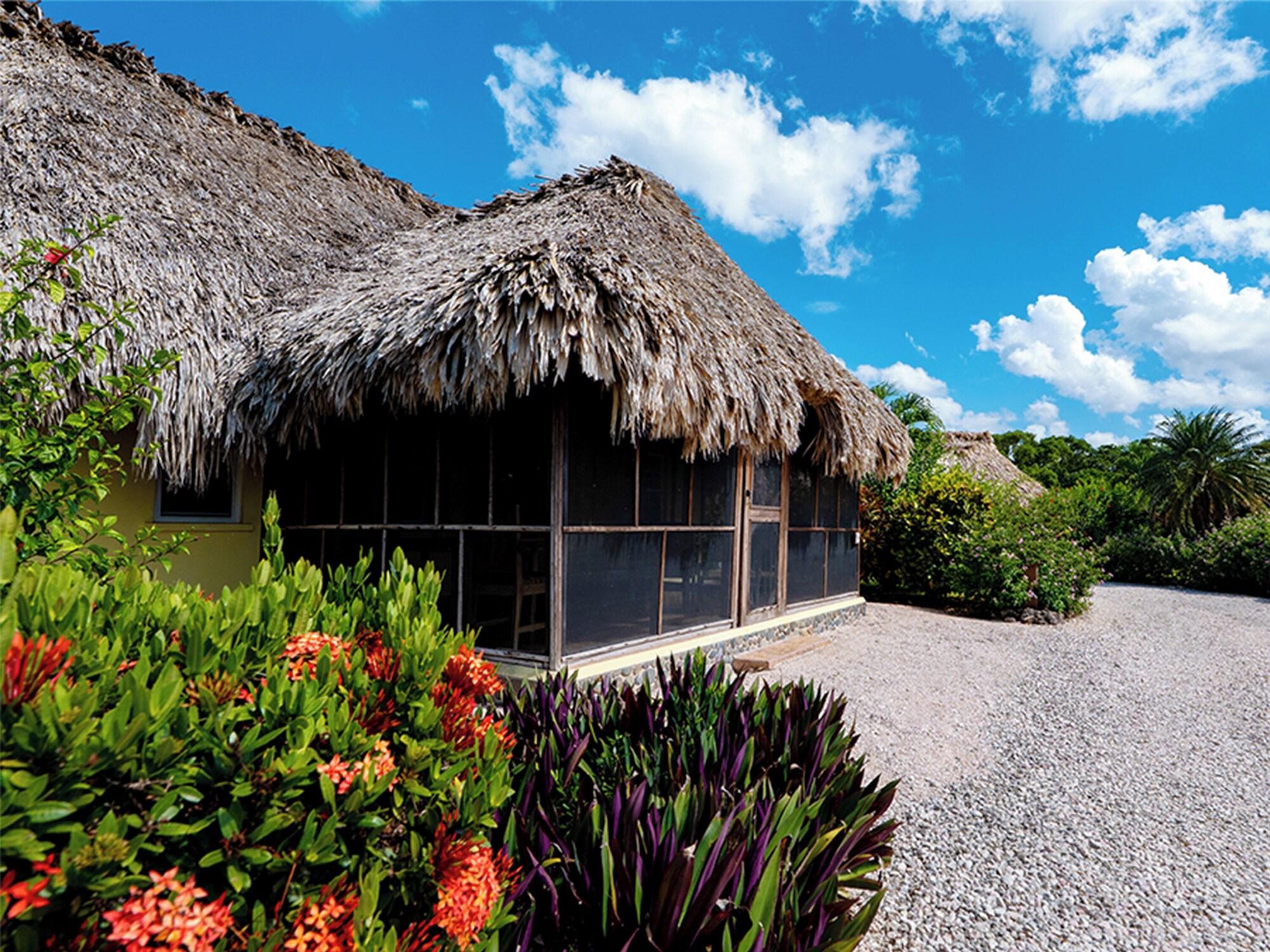 Habitación Orchid Bay Resort
