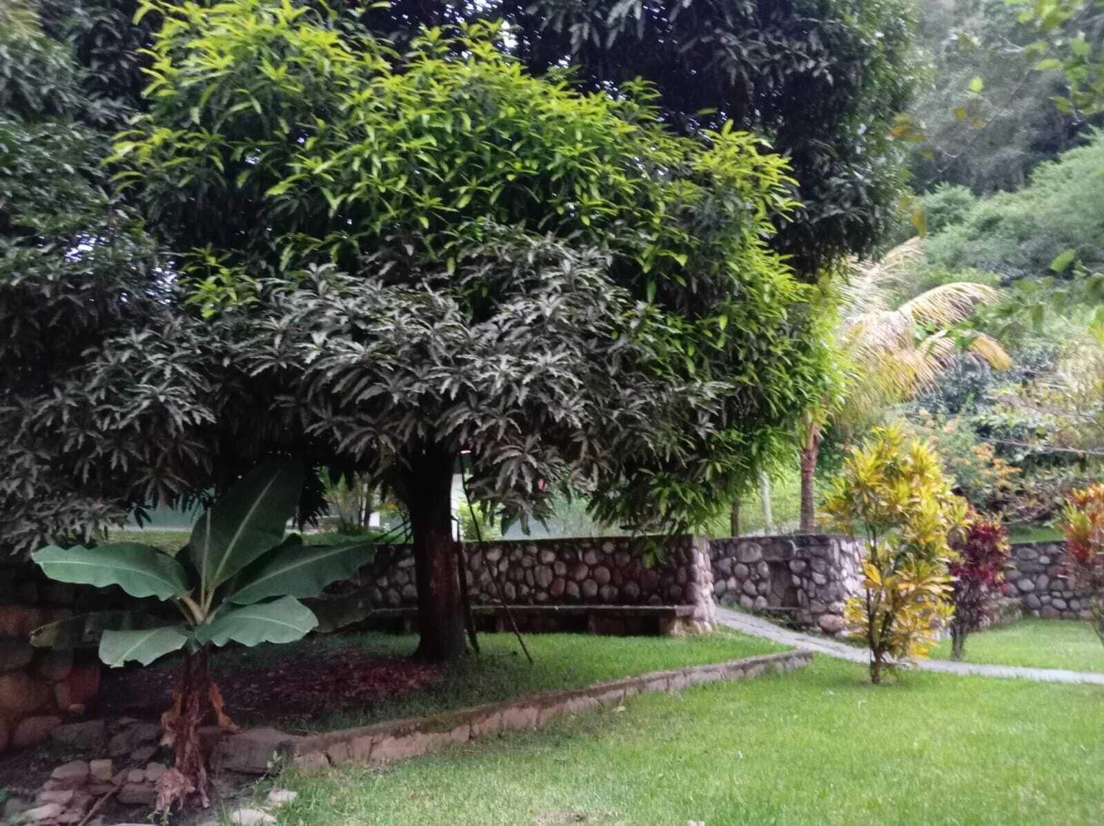 Vista Exterior www.ecoterralodge.com