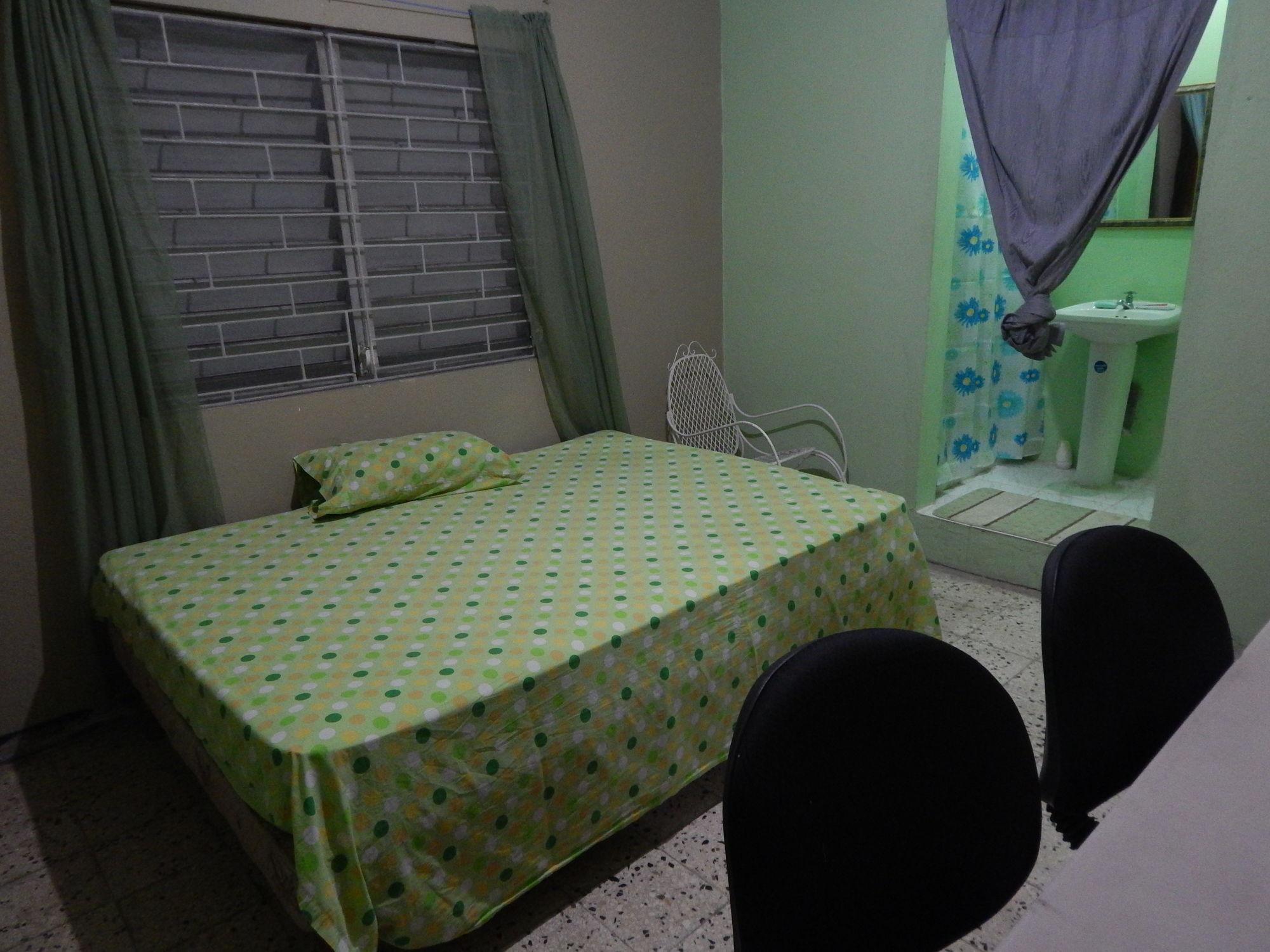 Habitación Lion's Pride - Hostel