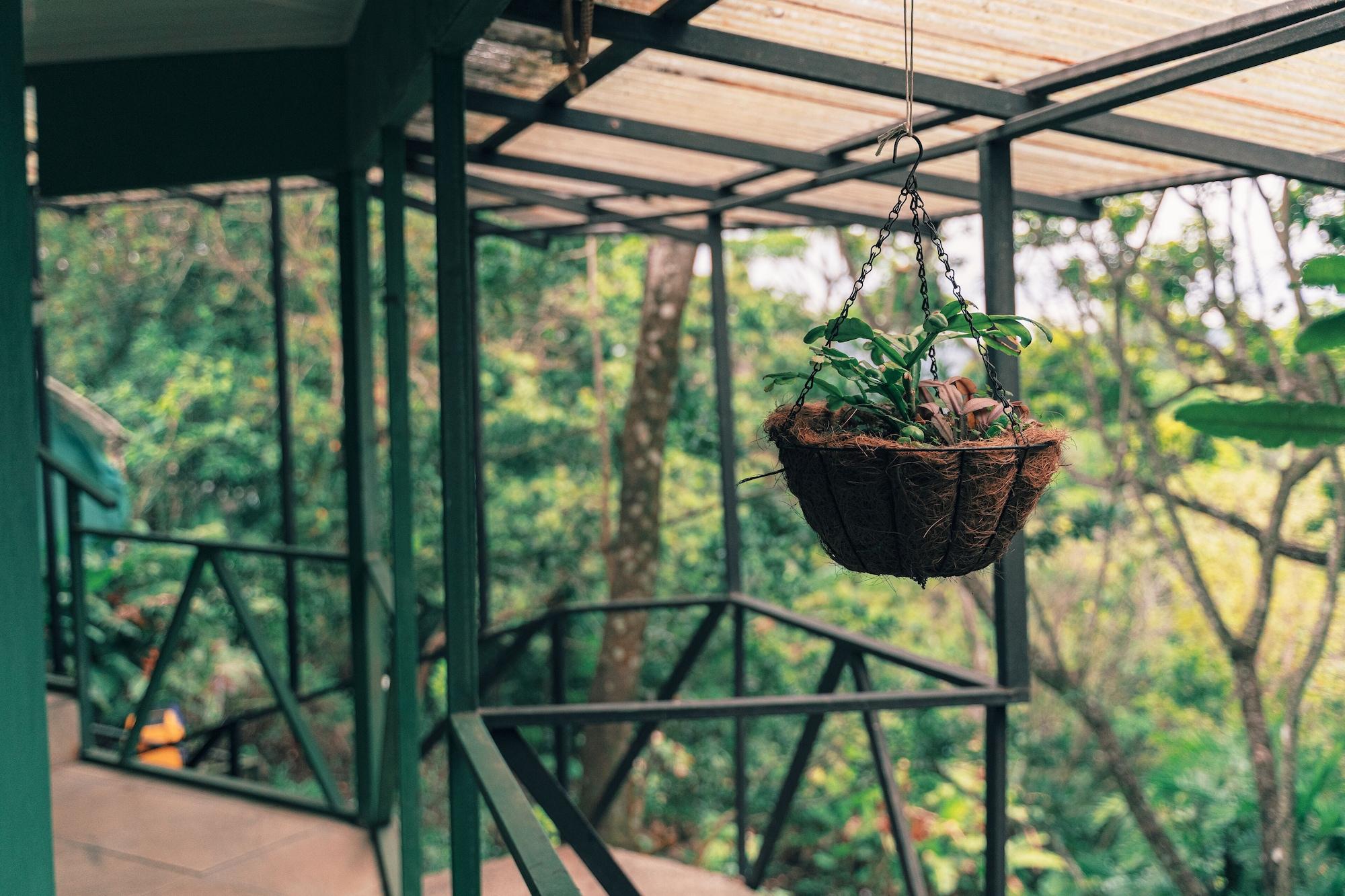 Vista Exterior Hotel Jardines de Monteverde