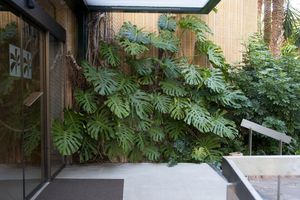 Alojamiento - Huerto Del Cura Hotel