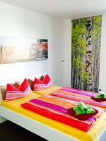 Alquiler Vacacional - Fantastic apartment overlooking the Rhine 163m², 5 BR., Large terrace