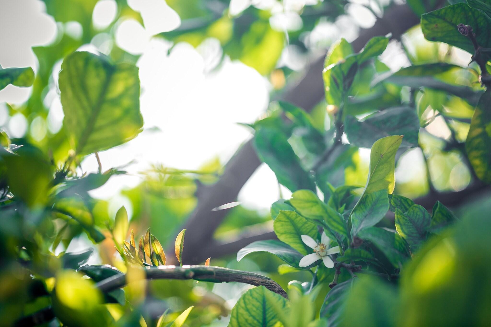 Bar/Salón Hotel Rural el Molino de Felipe