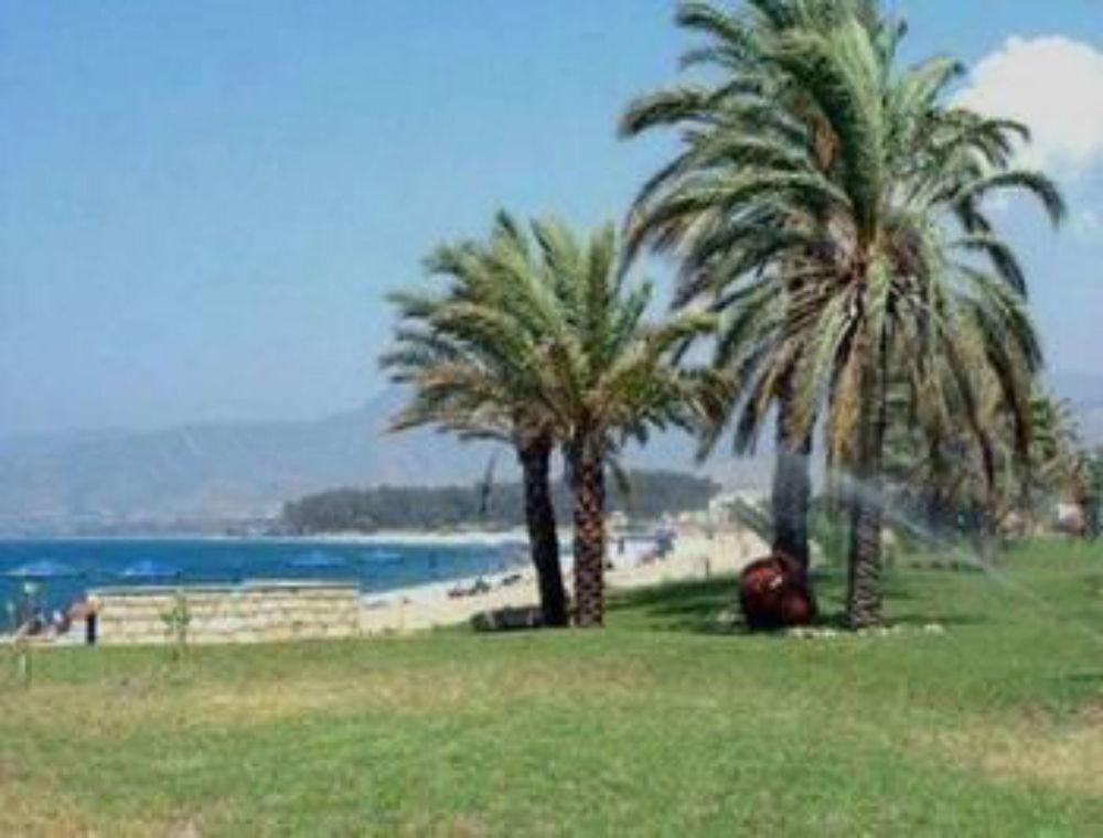 Playa Marion Hotel