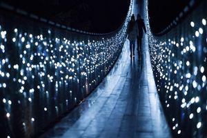 Actividad - Recorrido navideño por la ciudad de Vancouver y Canyon Lights en Capilano Suspension Bridge Park