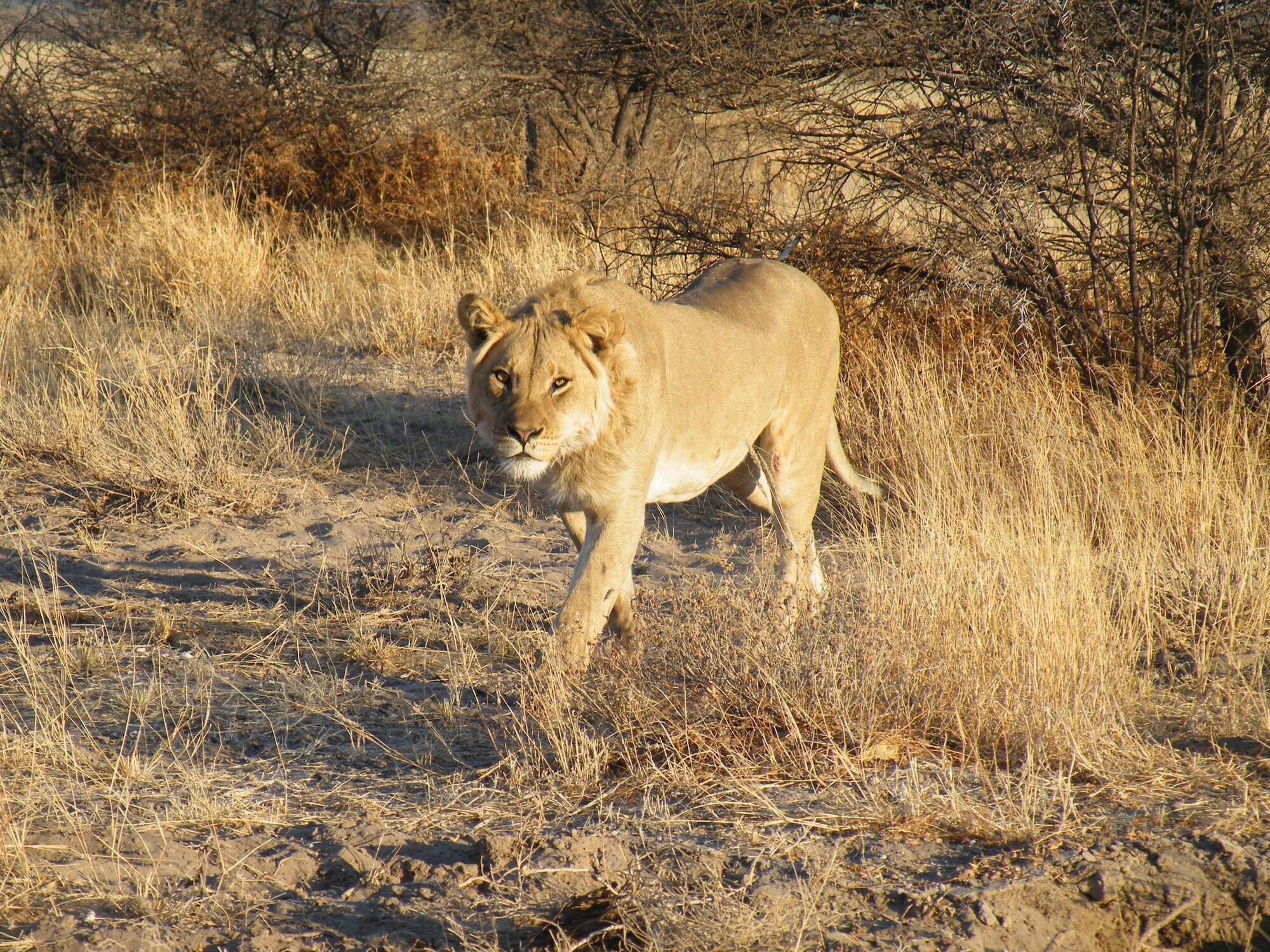 Instalaciones Recreativas Mthimkhulu Private Game Reserve- Adults Only
