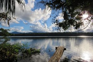 Actividad - Selva amazónica y pampas en 5 días