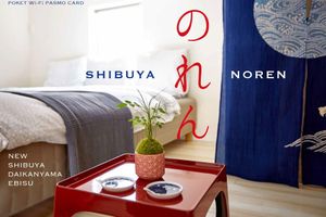 Alquiler Vacacional - "SHIBUYA NOREN" ,Room wi-fi,New popular area