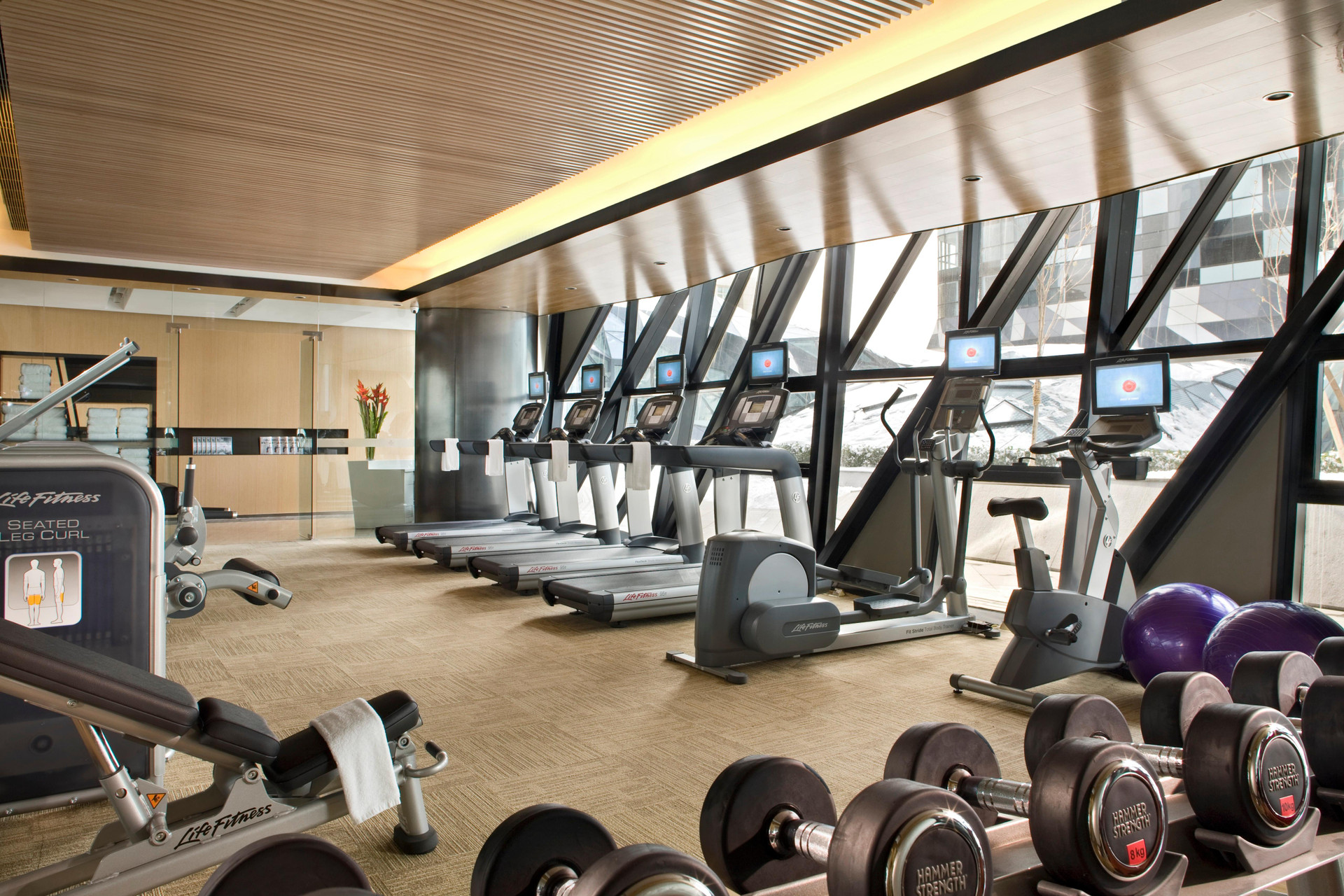 Instalaciones Recreativas Ascott Raffles City Beijing