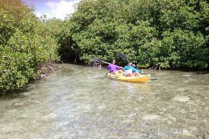 Actividad - Kayak Ecologico