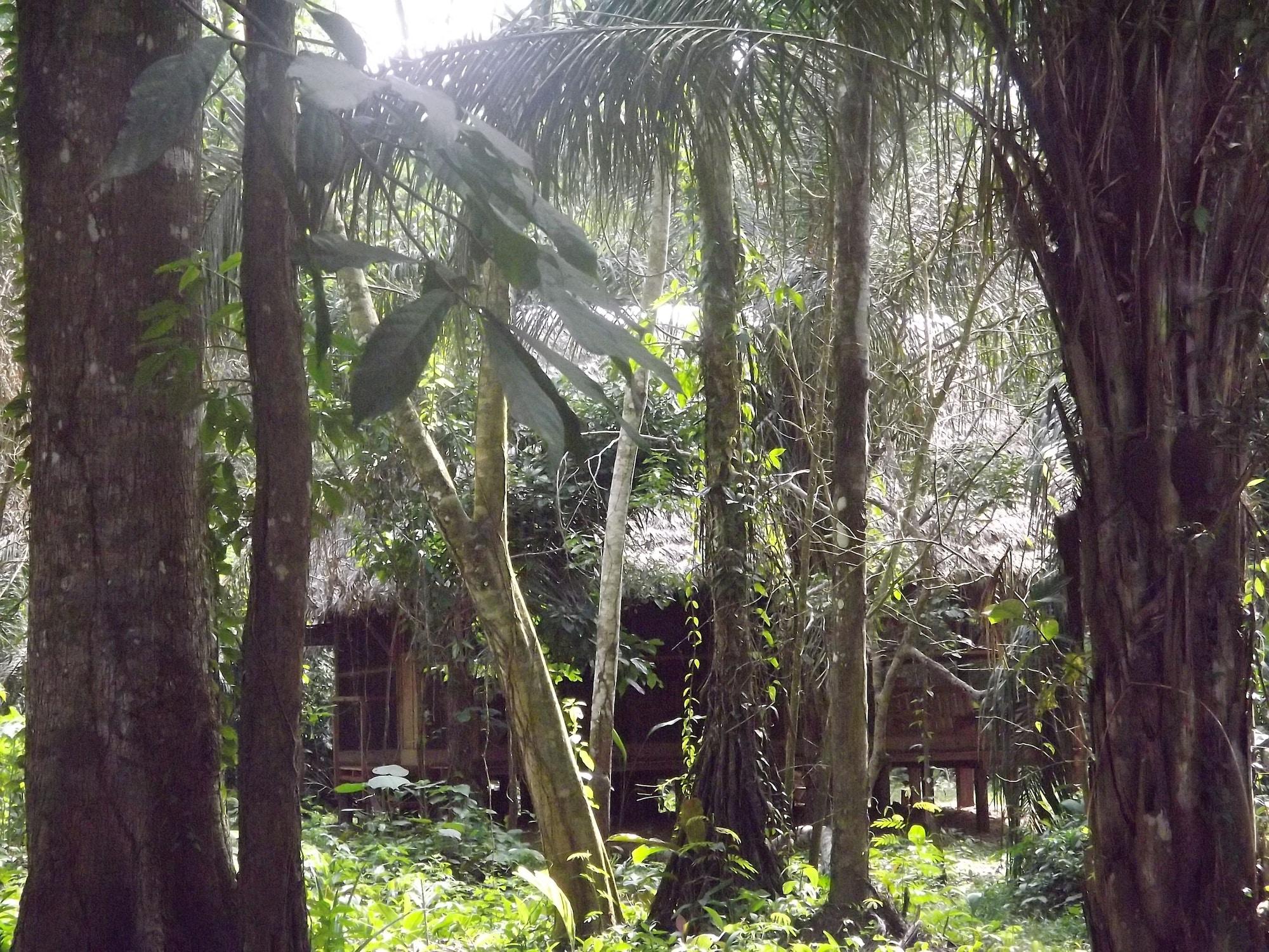 Instalaciones Recreativas Ecolucerna Lodge Tambopata