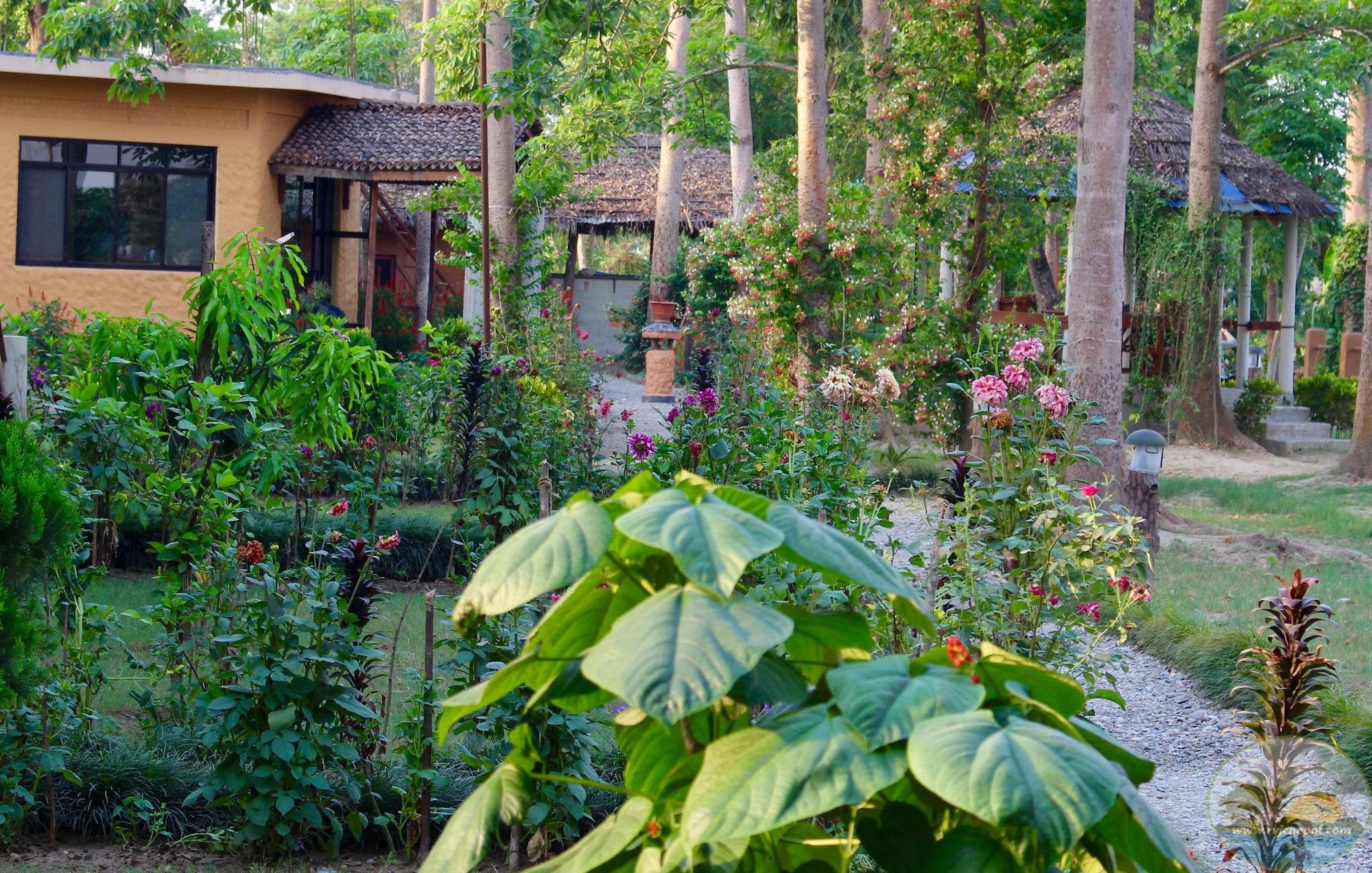 Restaurant River View Jungle Camp
